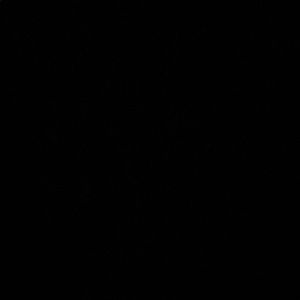 Meet your Posher, Nicholas